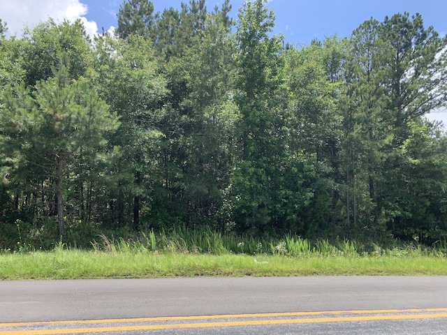 NA Metasville Rd, Lincolnton, GA 30817 - photo 3