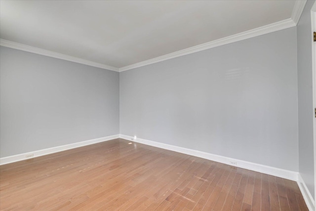 spare room featuring hardwood / wood-style flooring and crown molding