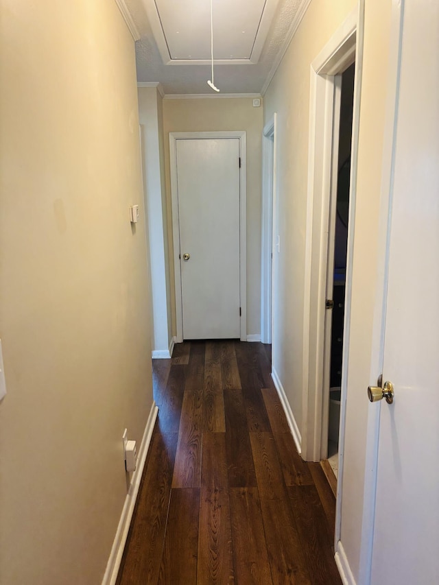 631 Oakdale Ave, North Augusta, SC 29841 - photo 12