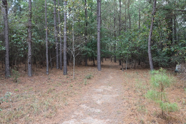 view of local wilderness