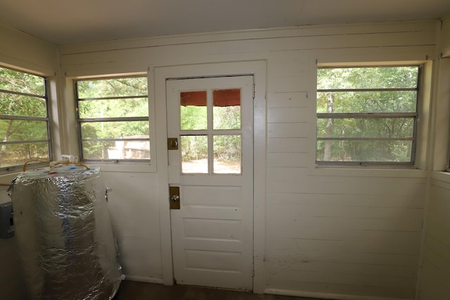 doorway to outside featuring plenty of natural light and wood walls