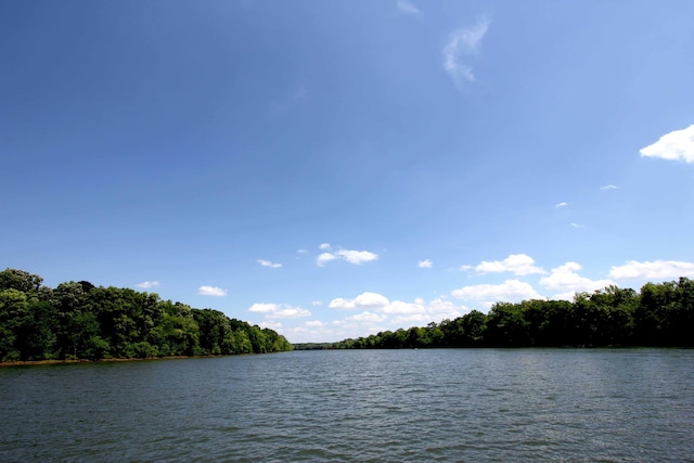 view of water feature with a wooded view