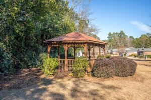 205 Carlyle Pl, Aiken, SC 29801 - photo 46
