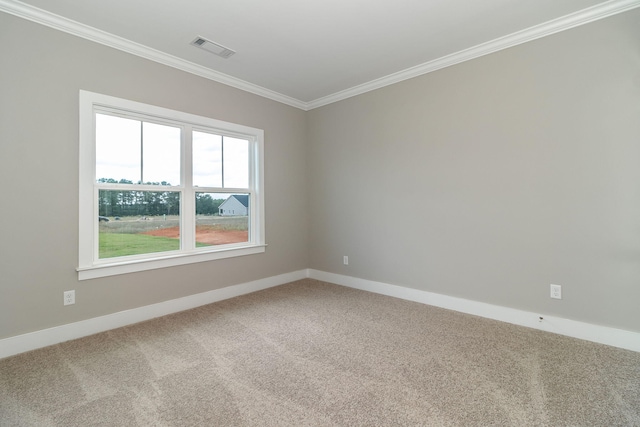 empty room with carpet and ornamental molding