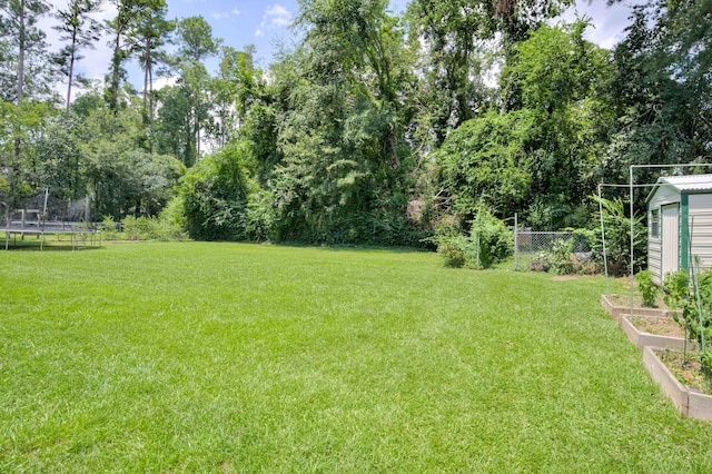 3103 Holly Haven Dr, Augusta, GA 30907 - view of yard with a trampoline, a vegetable garden, and view of scattered trees