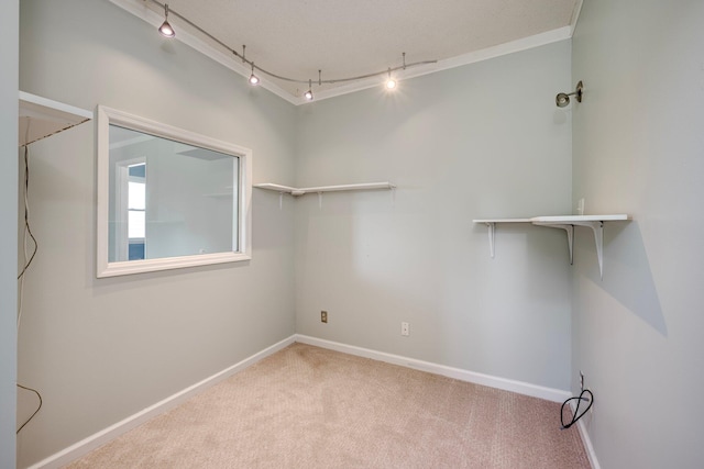3103 Holly Haven Dr, Augusta, GA 30907 - walk in closet featuring carpet floors