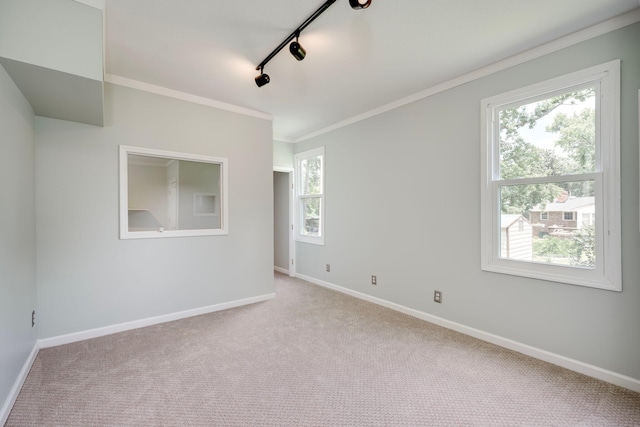 3103 Holly Haven Dr, Augusta, GA 30907 - spare room featuring rail lighting, carpet flooring, healthy amount of natural light, and crown molding