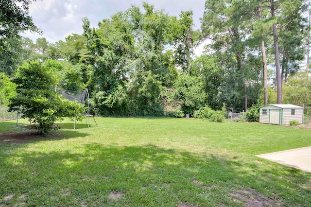 3103 Holly Haven Dr, Augusta, GA 30907 - view of green lawn featuring a storage unit, a trampoline, and view of scattered trees