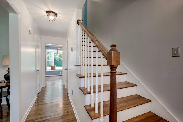 3103 Holly Haven Dr, Augusta, GA 30907 - stairway featuring wood finished floors