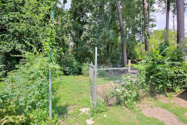 3103 Holly Haven Dr, Augusta, GA 30907 - view of yard