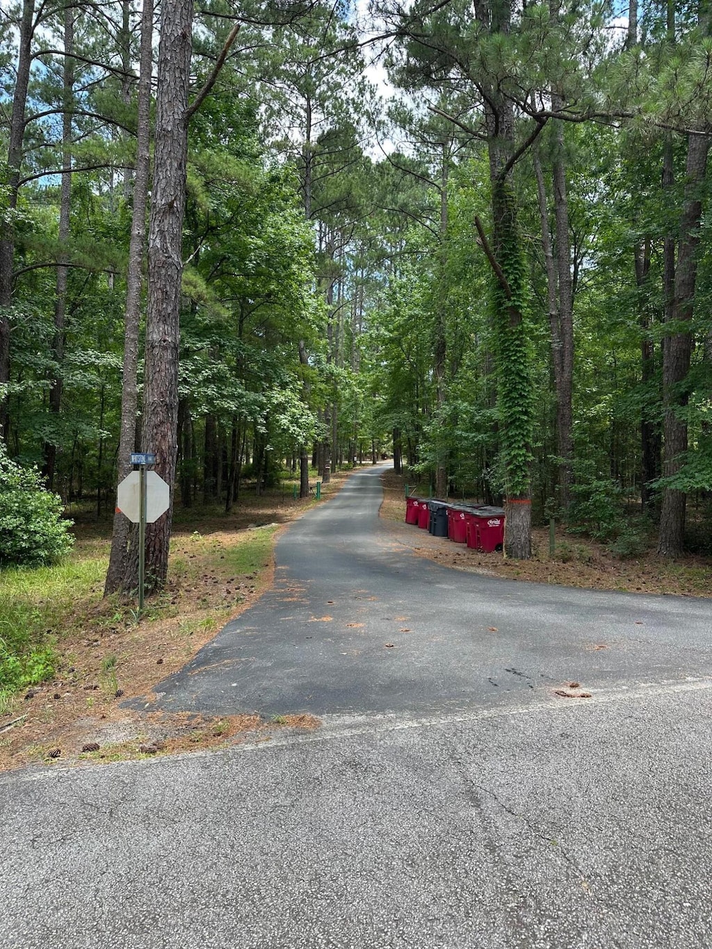 1131 Whitstone Rd, Lincolnton, GA 30817 - photo 2