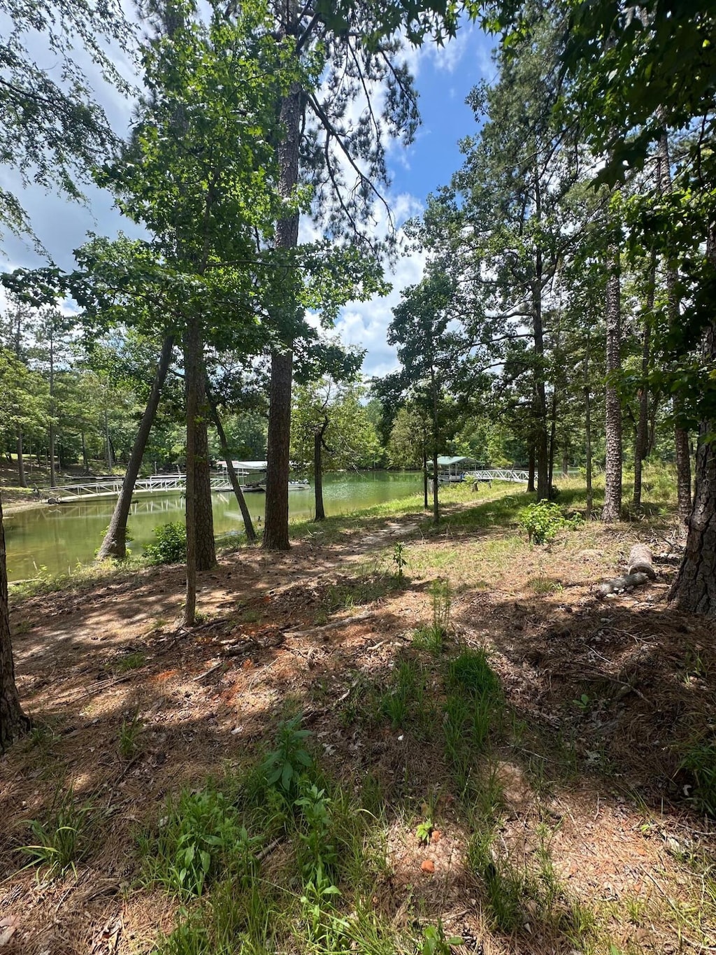 1131 Whitstone Rd, Lincolnton, GA 30817 - photo 4
