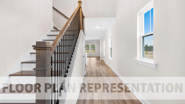 695 Ashburn Dr, North Augusta, SC 29860 - photo 6