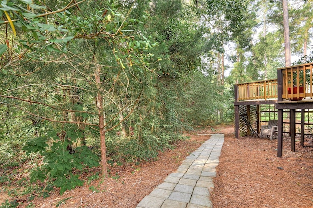 301 Misty Cv, Mccormick, SC 29835 - view of yard featuring a deck and stairs