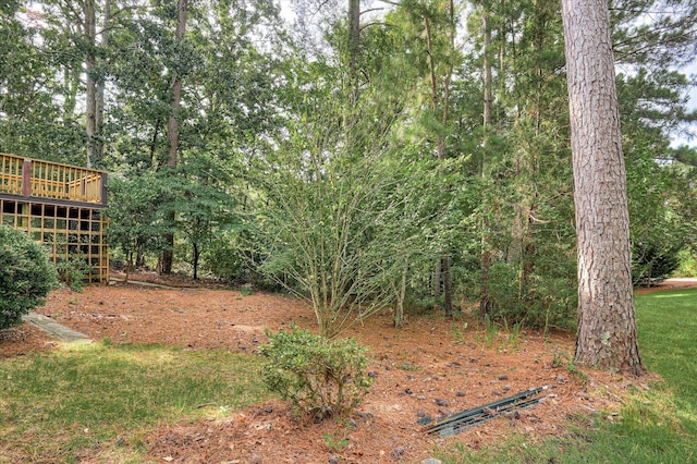 301 Misty Cv, Mccormick, SC 29835 - view of yard with a deck
