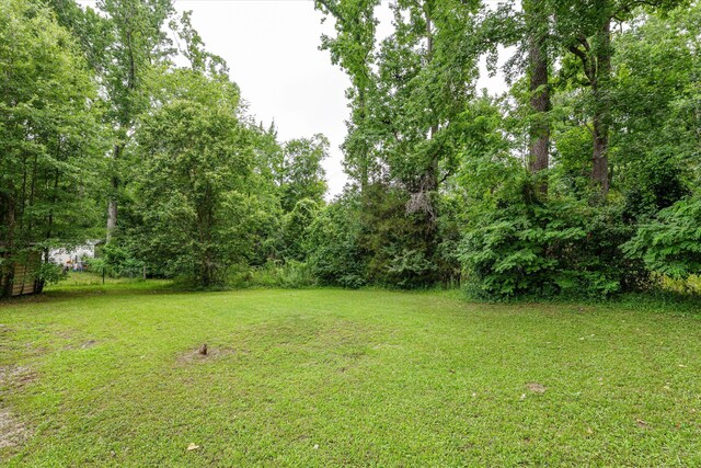 221 Creek View Cir, Martinez, GA 30907 - view of grassy yard