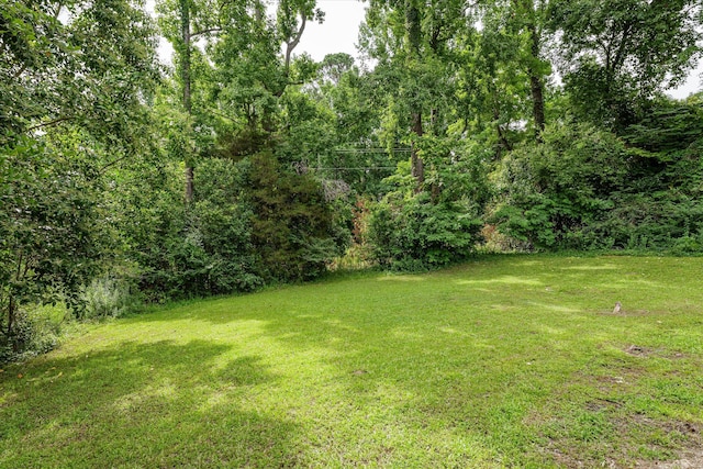 221 Creek View Cir, Martinez, GA 30907 - view of green lawn