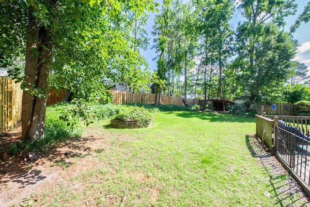 203 Longstreet Xing, North Augusta, SC 29860 - view of fenced backyard
