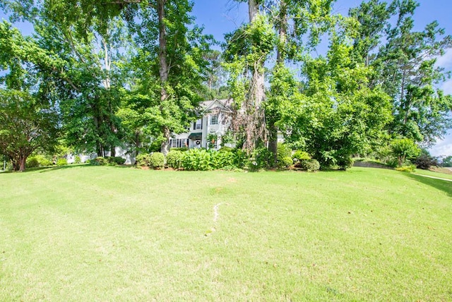 203 Longstreet Xing, North Augusta, SC 29860 - view of grassy yard