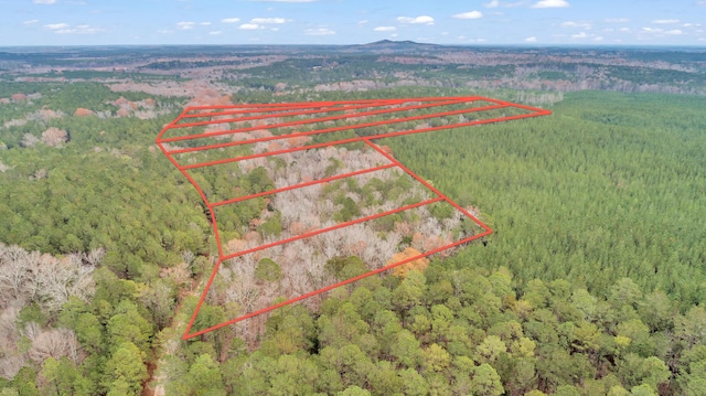 LOT4 Saggus Rd, Washington, GA 30673 - photo 34