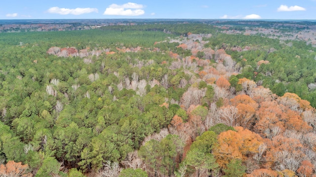 LOT4 Saggus Rd, Washington, GA 30673 - photo 18
