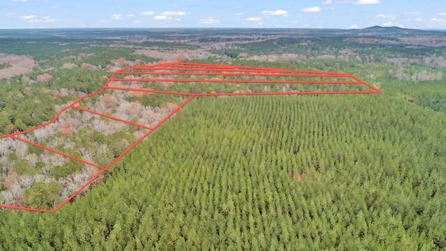 LOT4 Saggus Rd, Washington, GA 30673 - photo 33