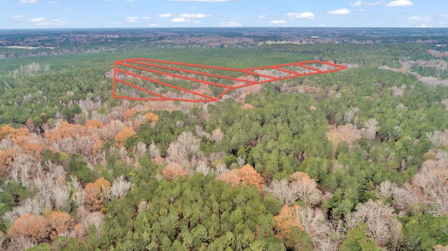 LOT4 Saggus Rd, Washington, GA 30673 - photo 37