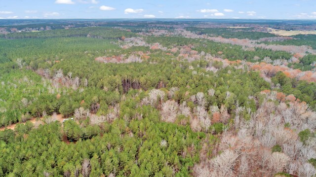 LOT4 Saggus Rd, Washington, GA 30673 - photo 28