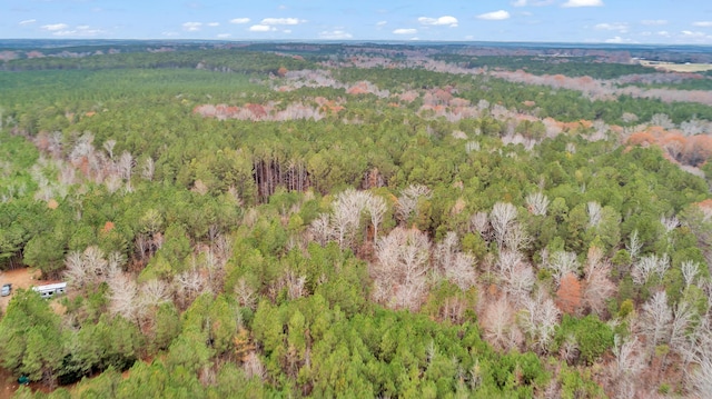 LOT4 Saggus Rd, Washington, GA 30673 - photo 19