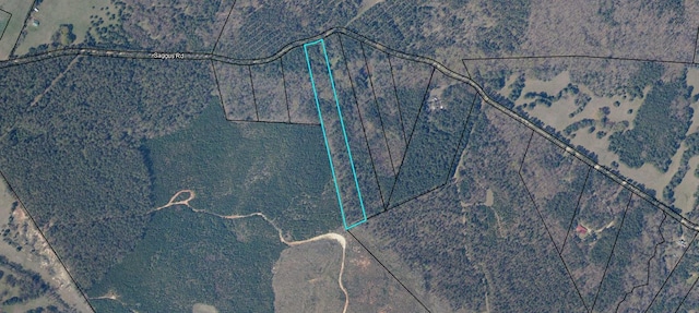 LOT4 Saggus Rd, Washington, GA 30673 - photo 30