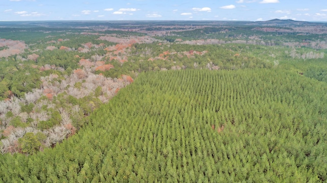 LOT4 Saggus Rd, Washington, GA 30673 - photo 22
