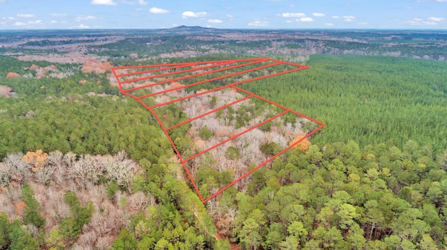 LOT4 Saggus Rd, Washington, GA 30673 - photo 35