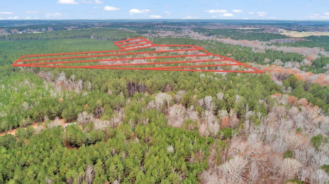 LOT4 Saggus Rd, Washington, GA 30673 - photo 39
