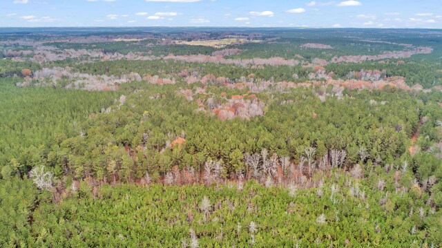 LOT4 Saggus Rd, Washington, GA 30673 - photo 20