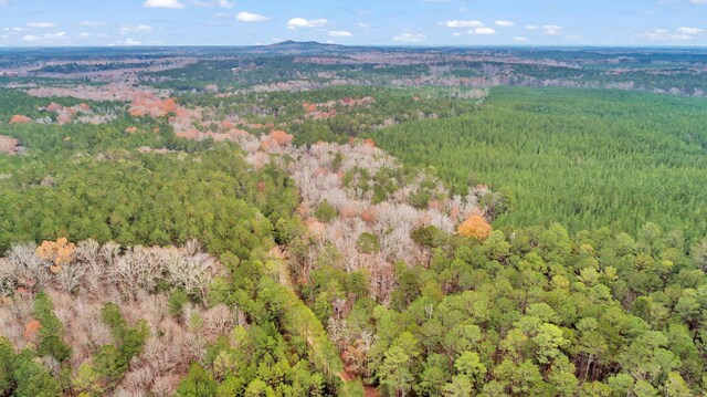 LOT4 Saggus Rd, Washington, GA 30673 - photo 24