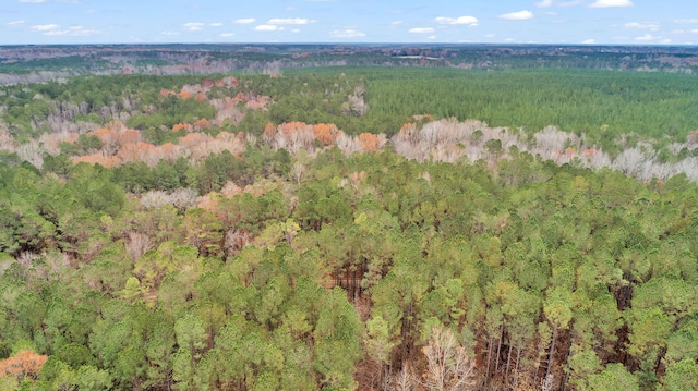 LOT4 Saggus Rd, Washington, GA 30673 - photo 16
