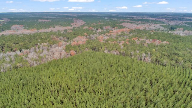 LOT4 Saggus Rd, Washington, GA 30673 - photo 21