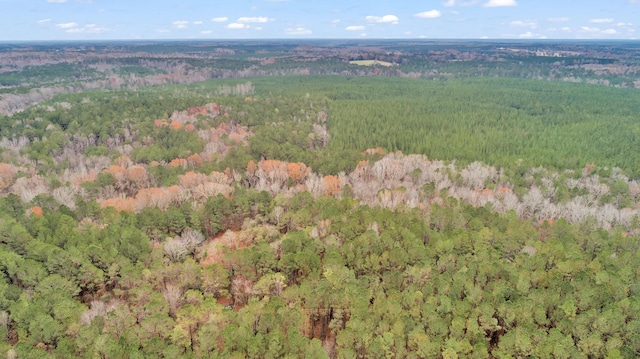 LOT4 Saggus Rd, Washington, GA 30673 - photo 25