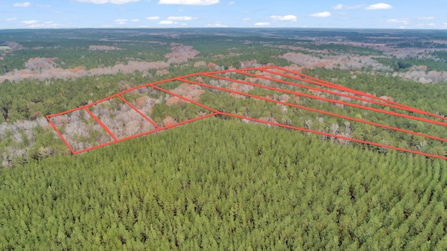 LOT4 Saggus Rd, Washington, GA 30673 - photo 32