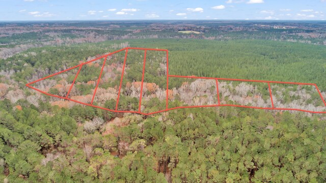LOT4 Saggus Rd, Washington, GA 30673 - photo 36
