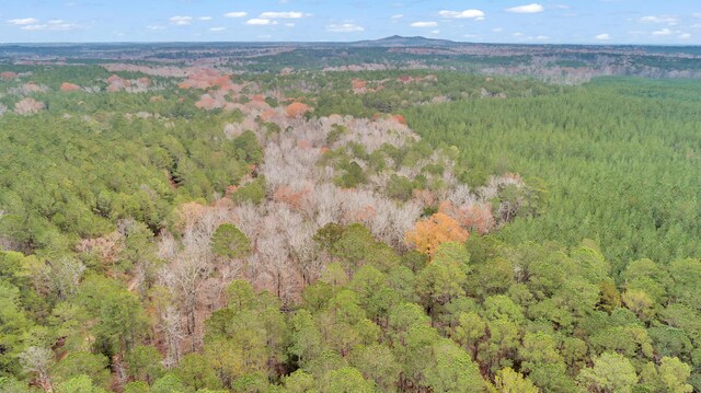 LOT4 Saggus Rd, Washington, GA 30673 - photo 14