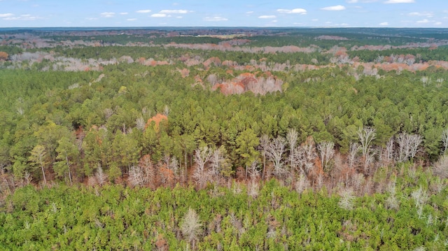 LOT4 Saggus Rd, Washington, GA 30673 - photo 11