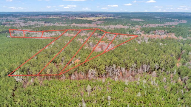 LOT4 Saggus Rd, Washington, GA 30673 - photo 31