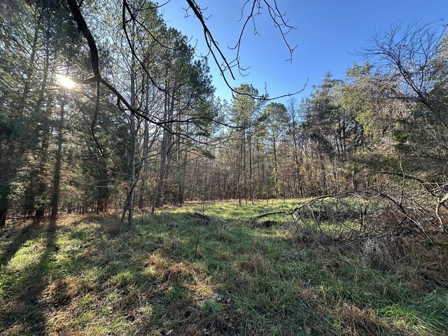 LOT4 Saggus Rd, Washington, GA 30673 - photo 3
