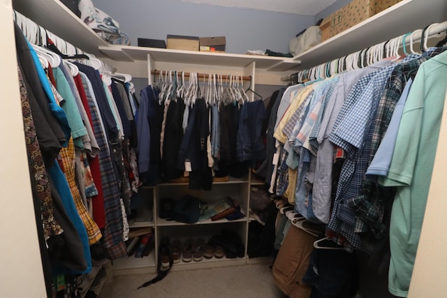 walk in closet featuring carpet flooring