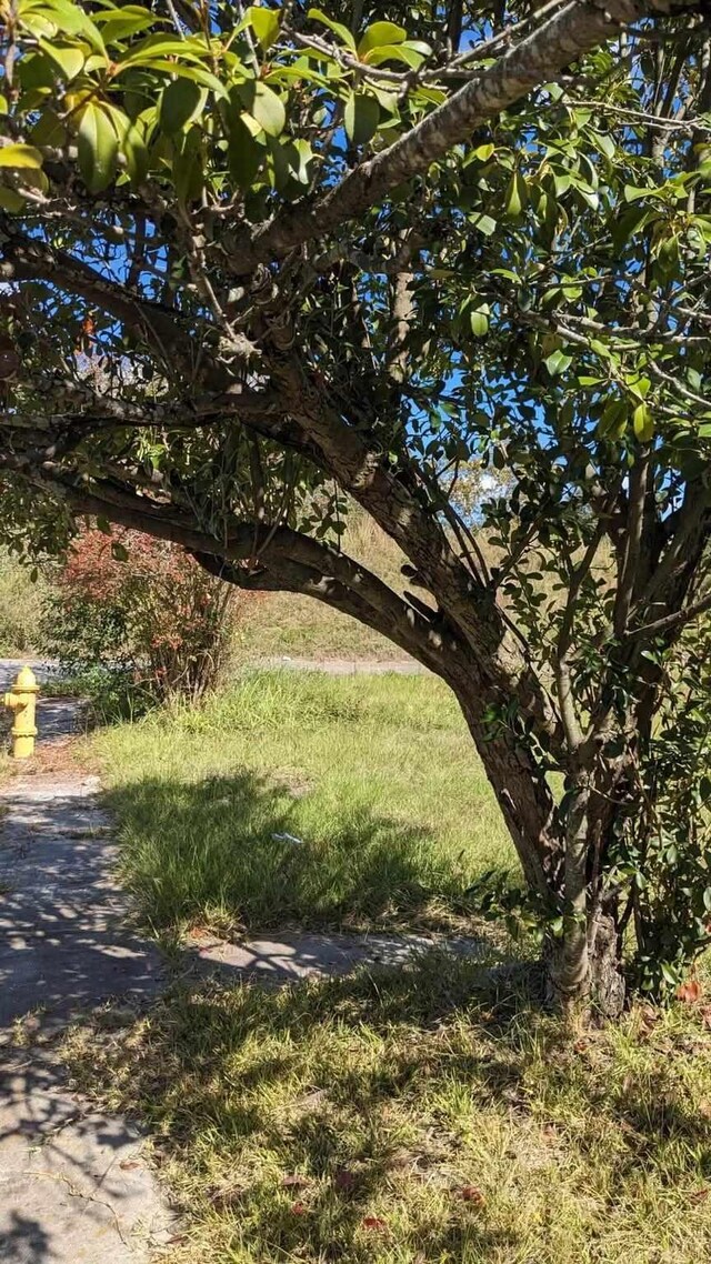 406 Hamilton St, Augusta, GA 30904 - view of yard