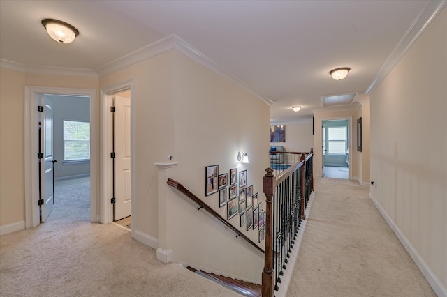 825 Burch Creek Dr, Grovetown, GA 30813 - corridor with an upstairs landing, light carpet, and ornamental molding