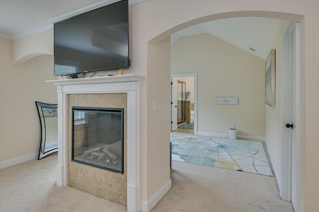 825 Burch Creek Dr, Grovetown, GA 30813 - detailed view of carpet, a fireplace, and arched walkways