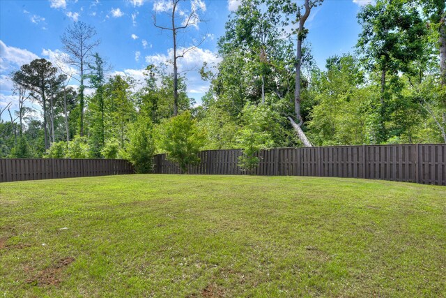 830 Otto Run, North Augusta, SC 29860 - view of yard