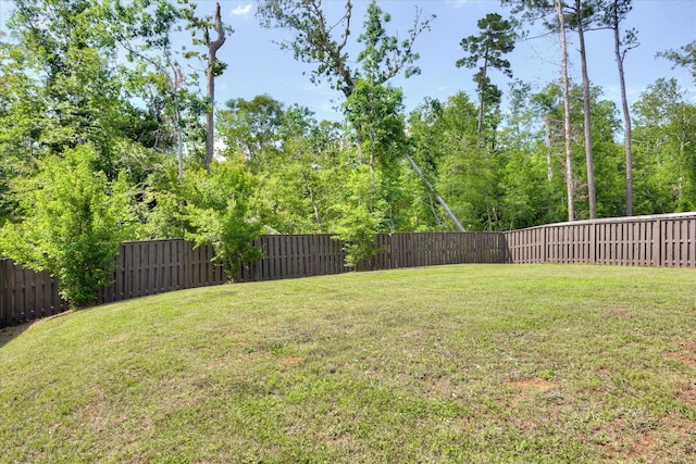 830 Otto Run, North Augusta, SC 29860 - view of yard